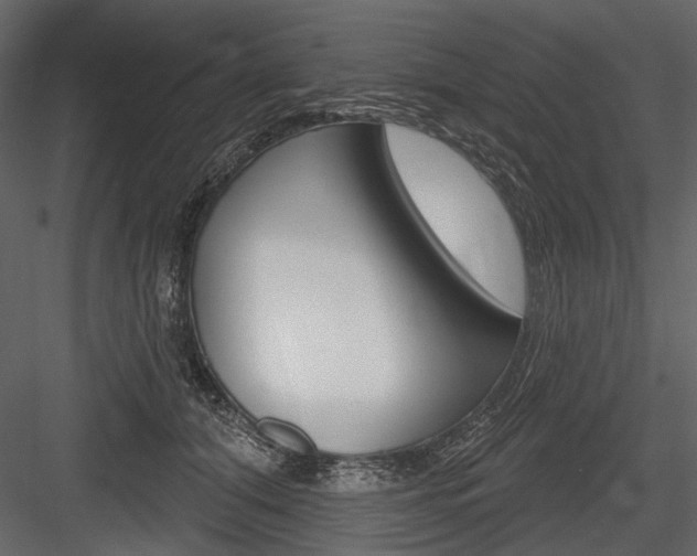 X0000084600608200702231038