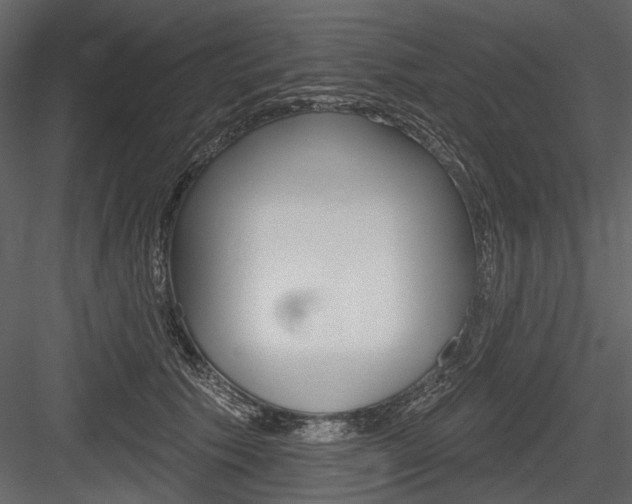X0000084600609200702231038