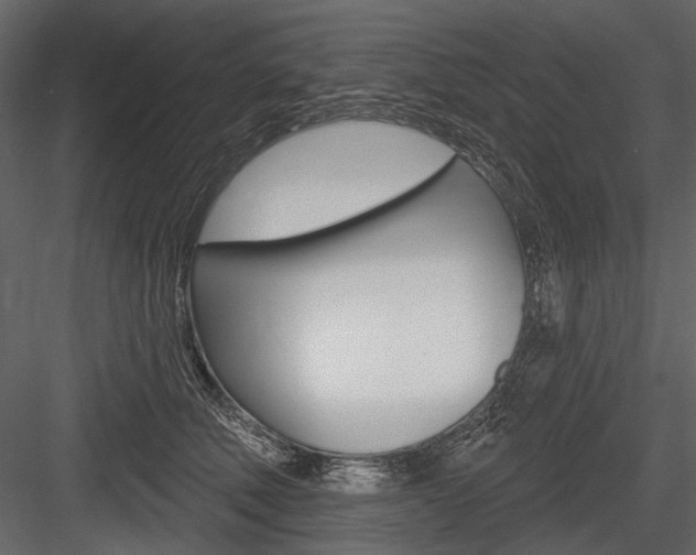 X0000084600610200702231038