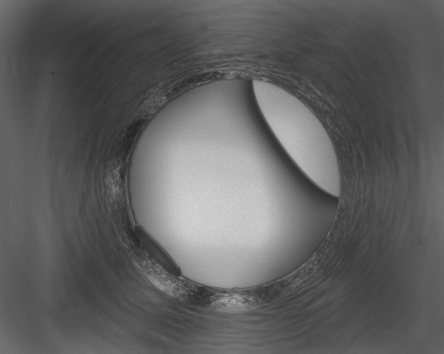 X0000084600611200702231038