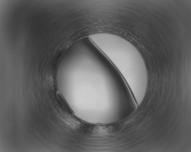 X0000084600613200702231038