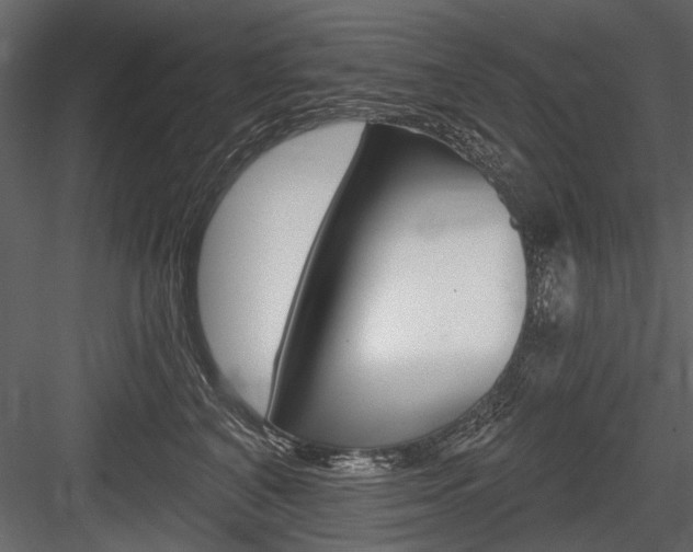 X0000084600616200702231038