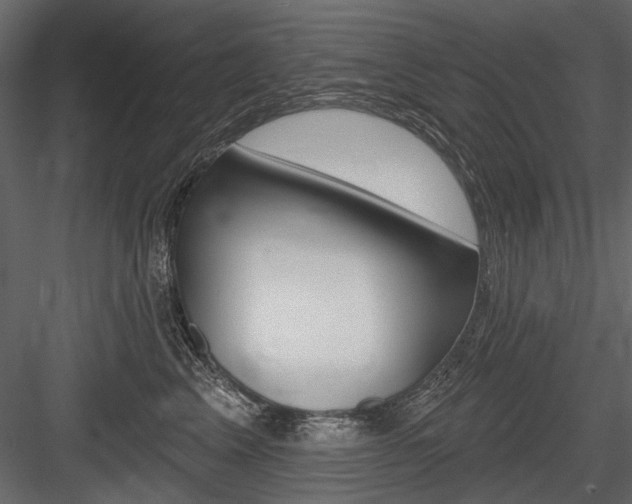 X0000084600617200702231038