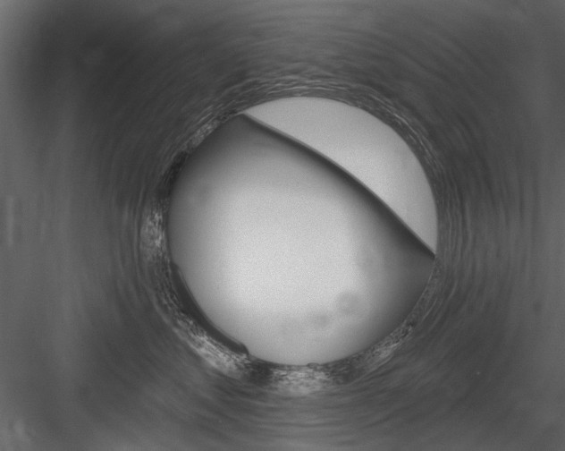 X0000084600621200702231038