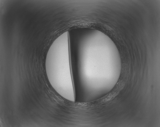 X0000084600624200702231038