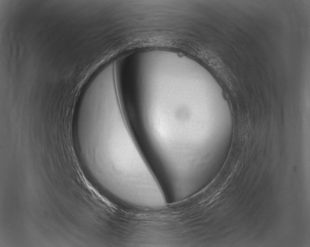 X0000084600625200702231037