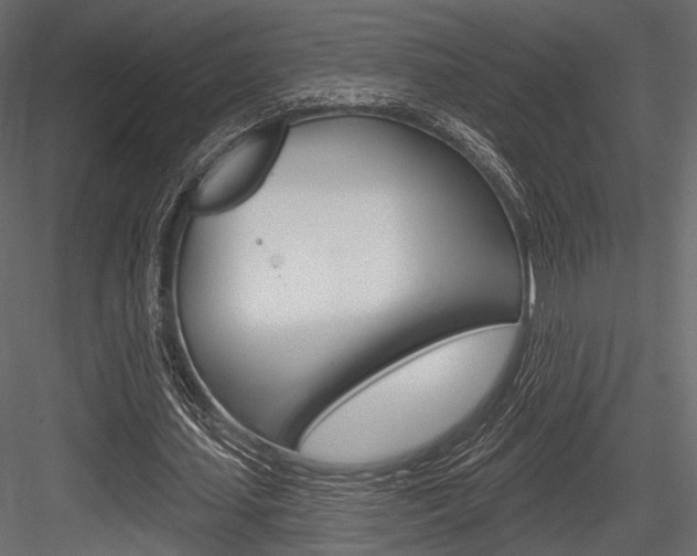 X0000084600627200702231037