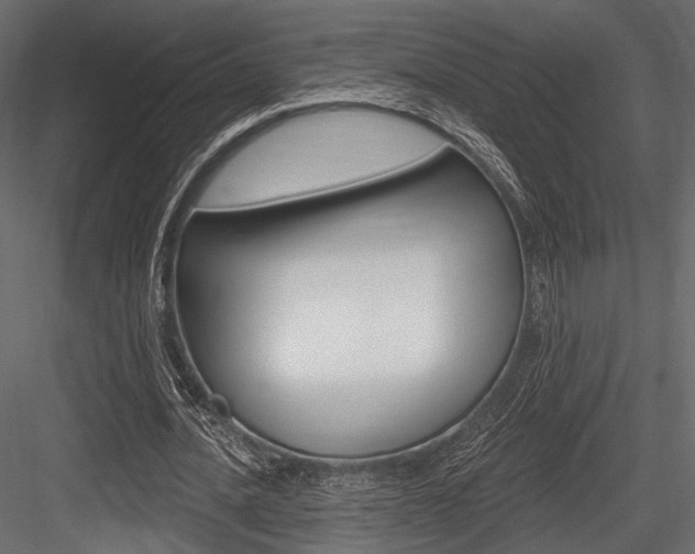 X0000084600628200702231037