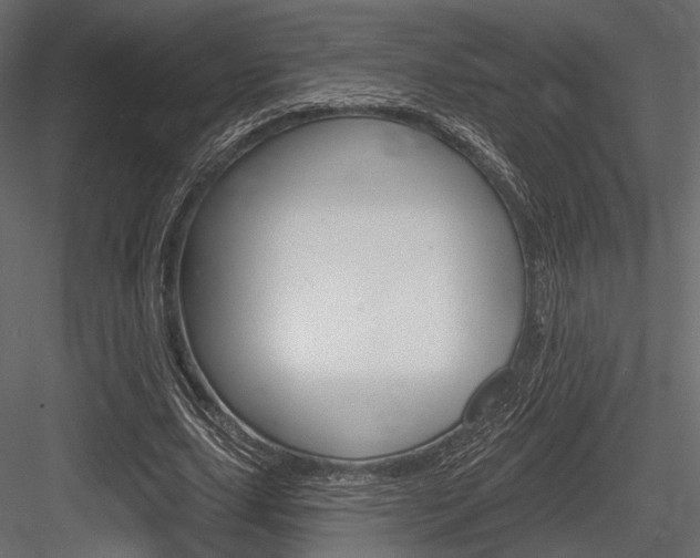 X0000084600631200702231037