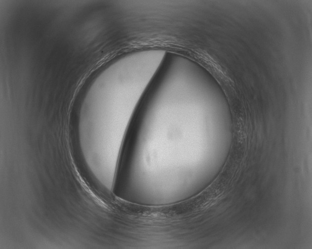 X0000084600634200702231037