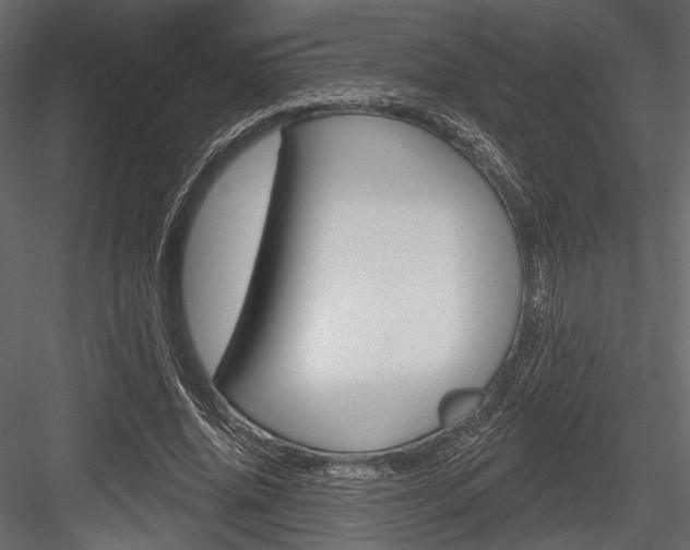 X0000084600636200702231037