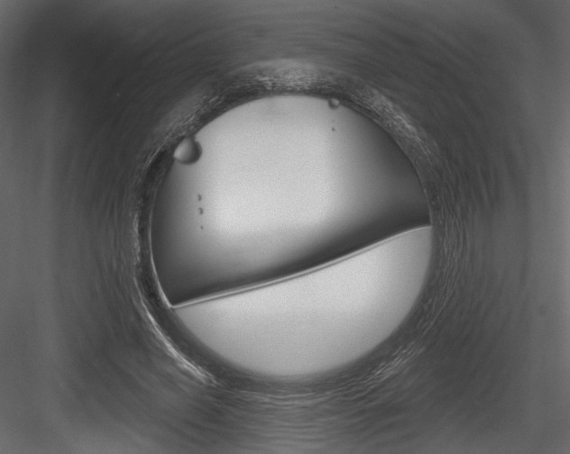 X0000084600638200702231037