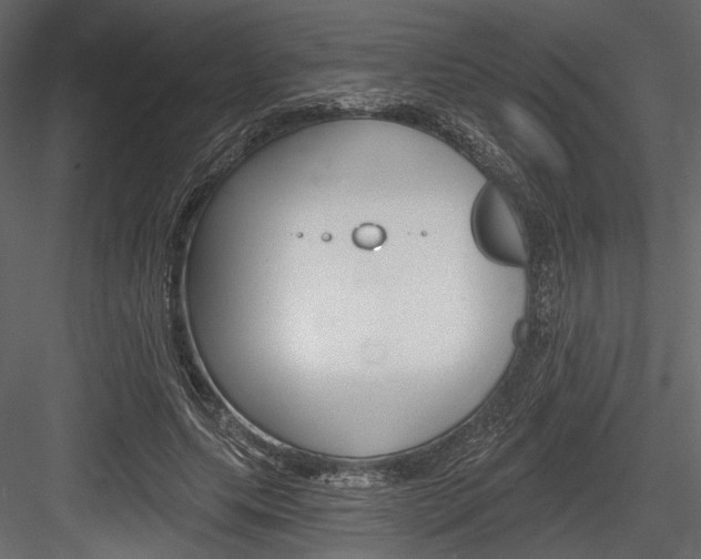 X0000084600639200702231037