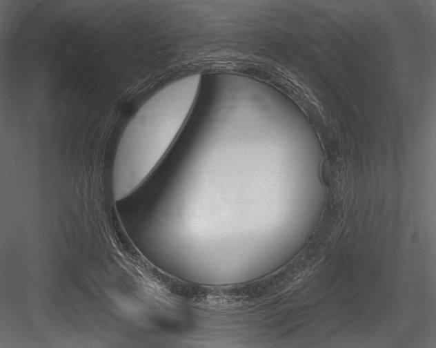 X0000084600641200702231037