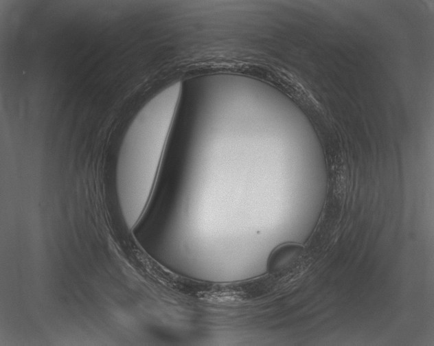 X0000084600643200702231037