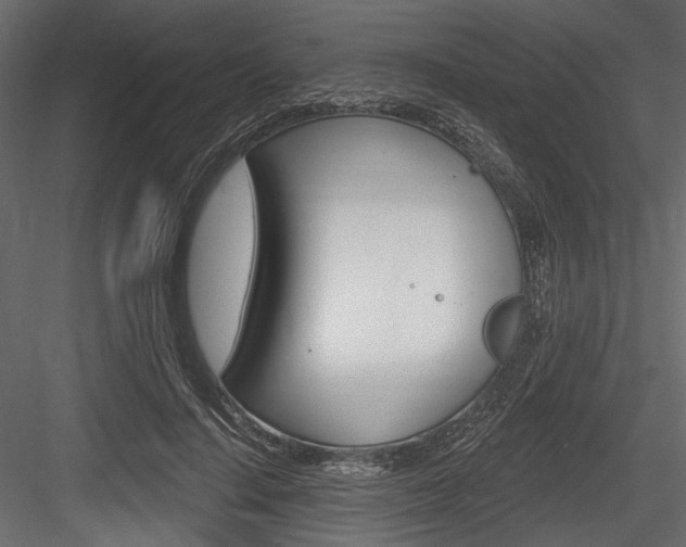 X0000084600644200702231037