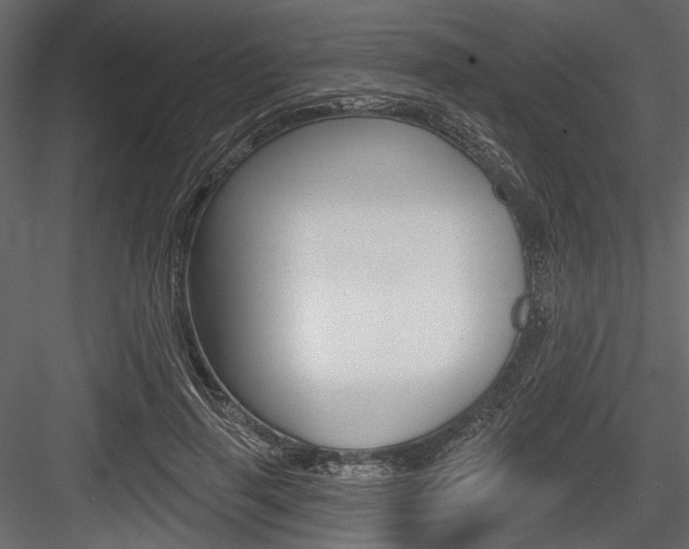 X0000084600645200702231037