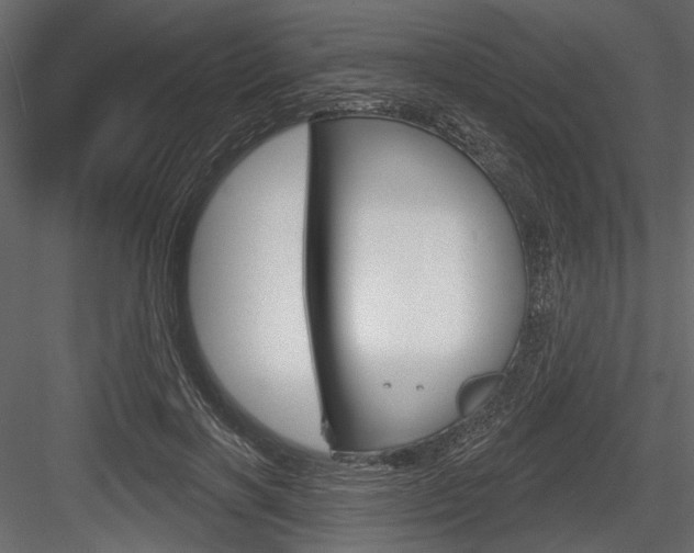 X0000084600646200702231037