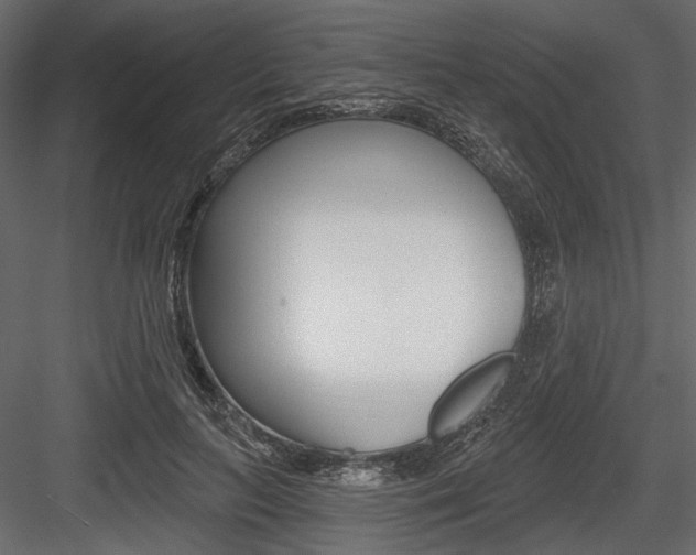 X0000084600647200702231037