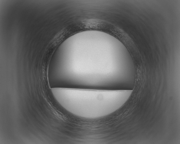 X0000084600648200702231037