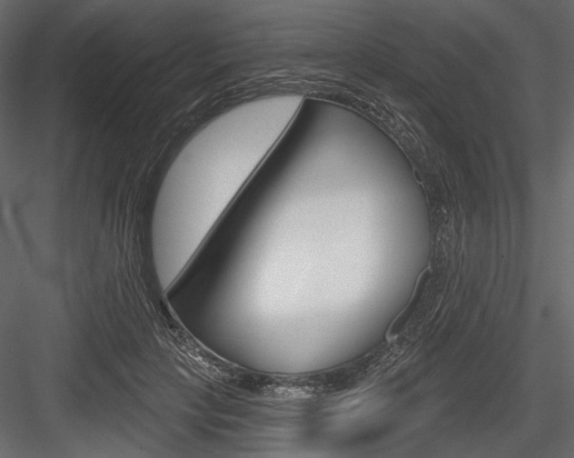 X0000084600649200702231037