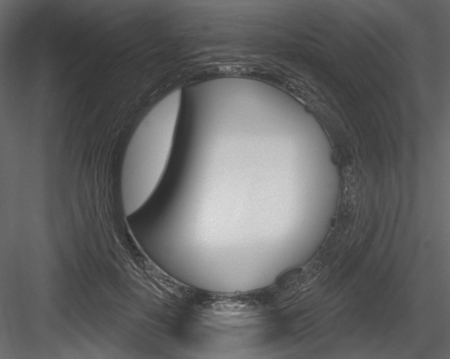X0000084600650200702231037