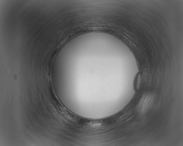 X0000084600651200702231037
