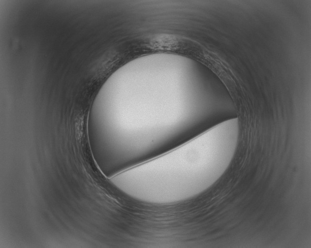 X0000084600652200702231037