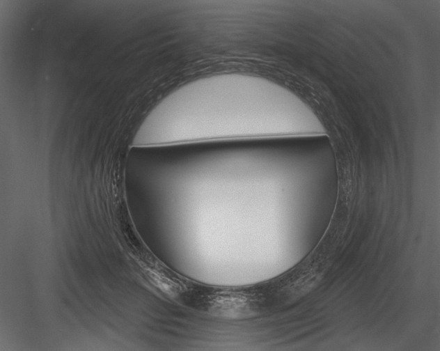 X0000084600653200702231037