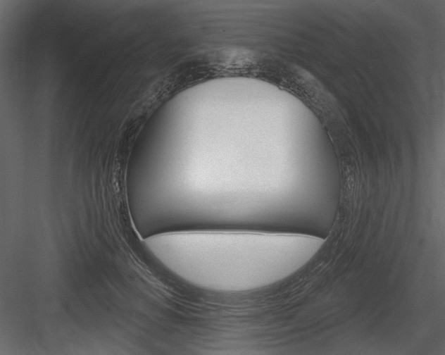 X0000084600654200702231037