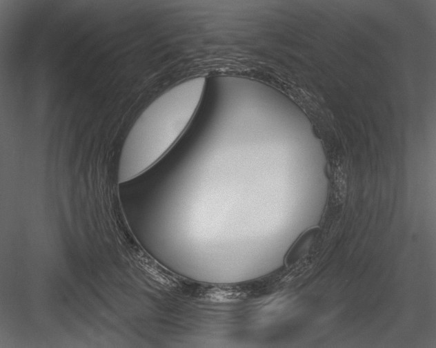 X0000084600657200702231037
