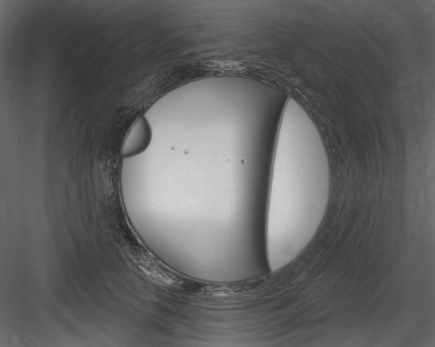 X0000084600658200702231037