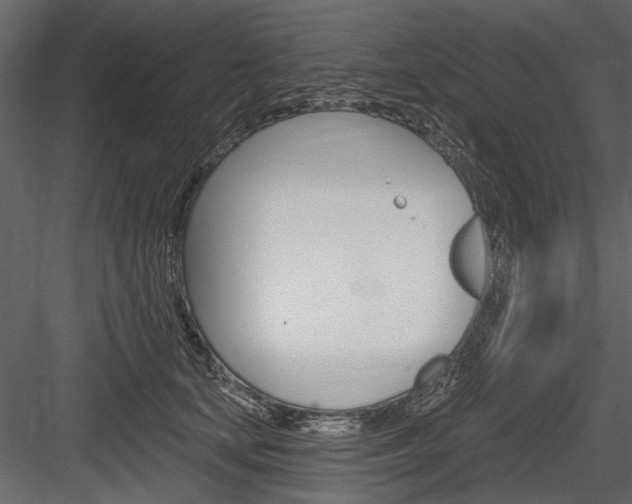 X0000084600659200702231037