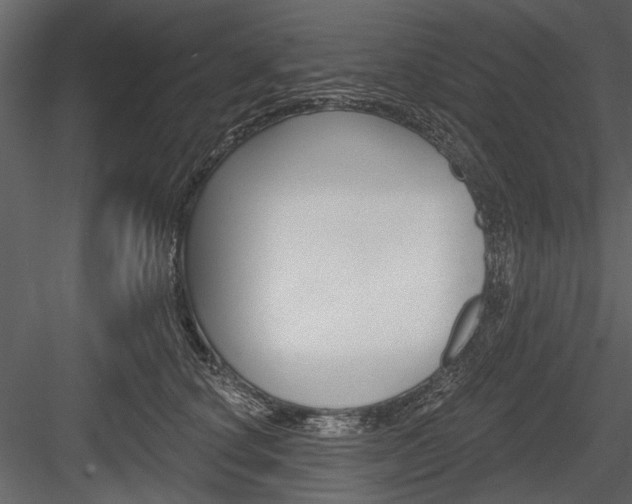 X0000084600660200702231037
