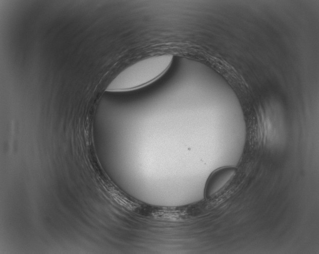 X0000084600661200702231037