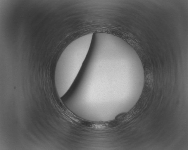 X0000084600662200702231037