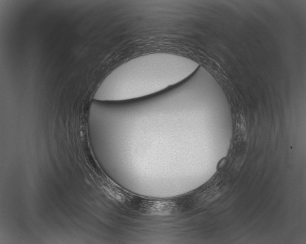 X0000084600663200702231037