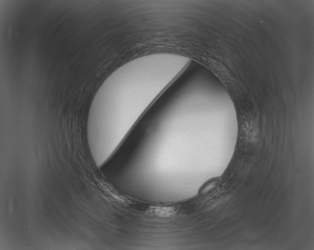 X0000084600665200702231037