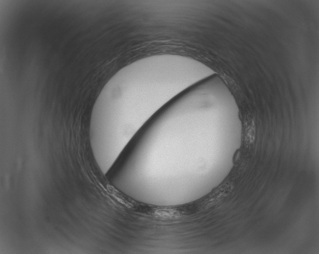 X0000084600666200702231037