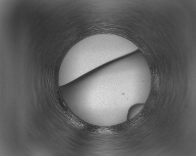 X0000084600668200702231037