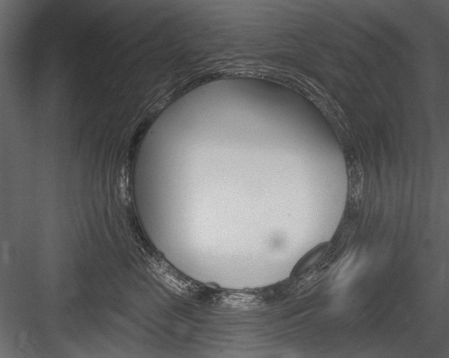 X0000084600669200702231037