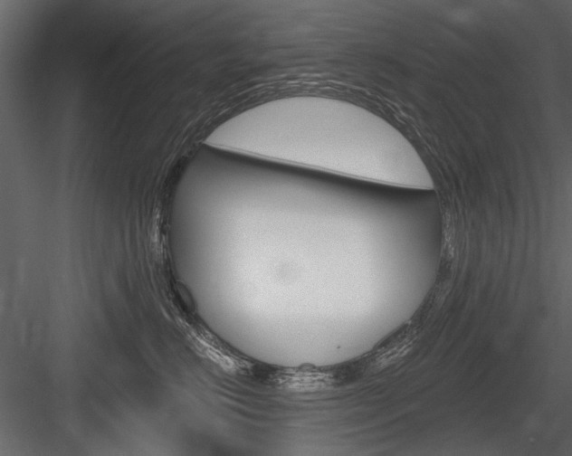 X0000084600670200702231037