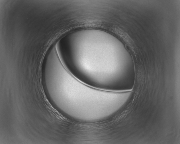 X0000084600673200702231037