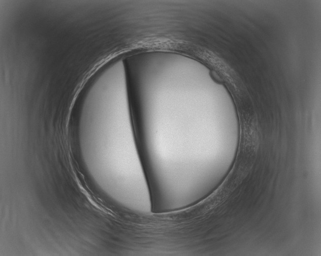 X0000084600674200702231037