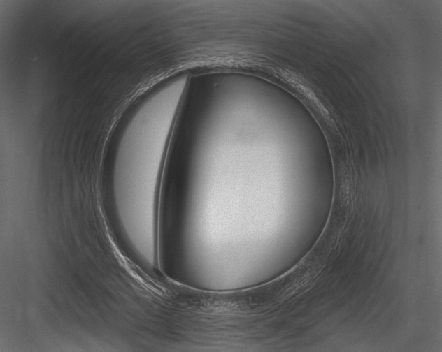 X0000084600677200702231037