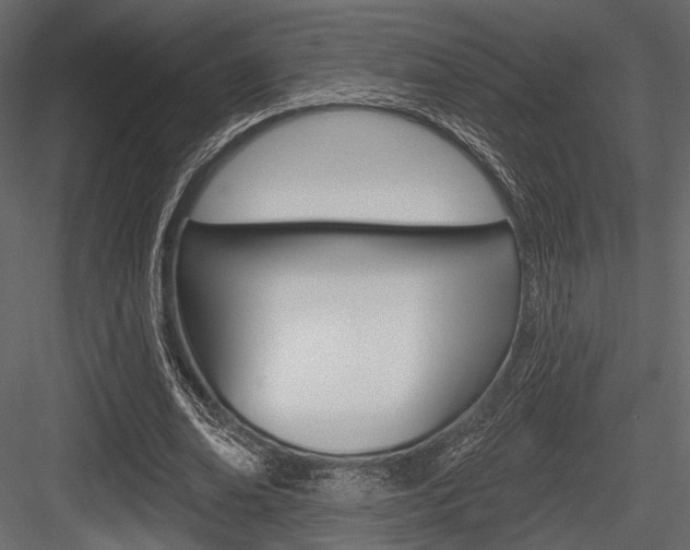 X0000084600678200702231037