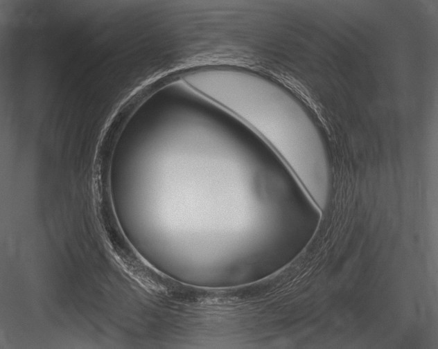 X0000084600680200702231037