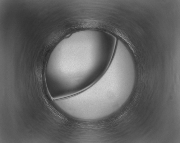 X0000084600681200702231037
