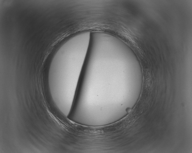 X0000084600683200702231037