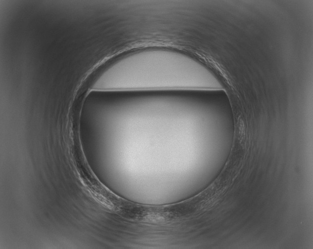 X0000084600684200702231036
